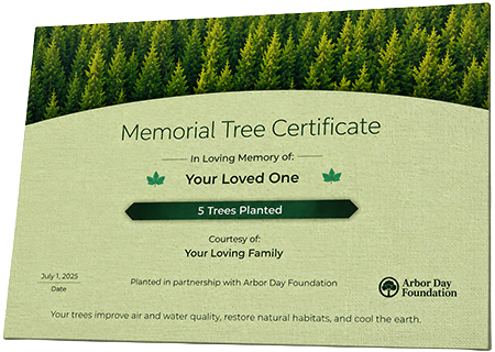 Plant Trees in Memory of Jimmy Silver, Sr.
